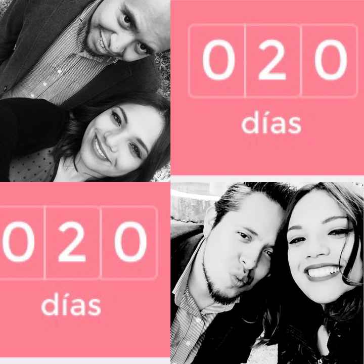 Novi@s de noviembre 2016 - 1