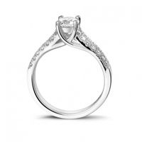 Mi Anillo!