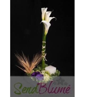 Blanco 🌊 inspiración 💕 - 3