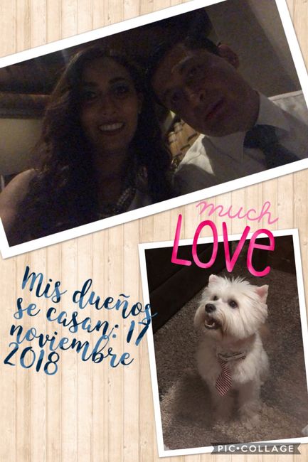 No subas la foto de tu anillo sin leer esto! 8