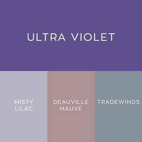 ¿qué color usarán en la boda? - 1