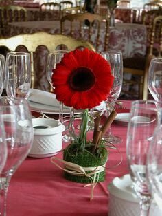 Adornar en color vino - 27