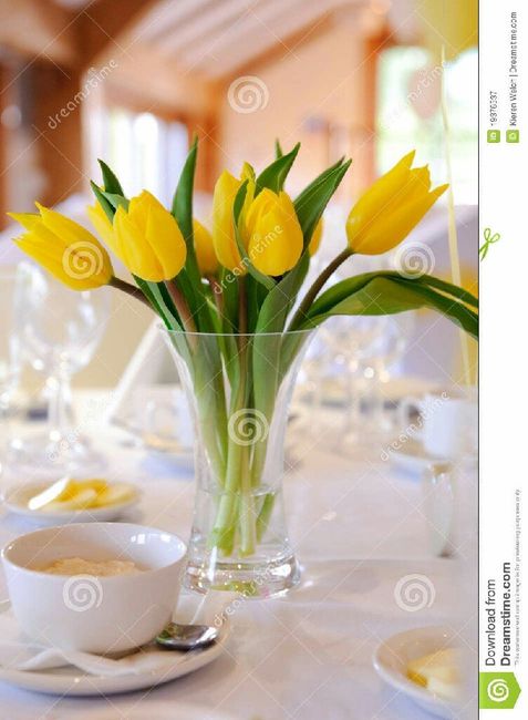 Adornar en color amarillo - 3