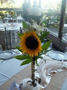 Adornar en color amarillo - 20