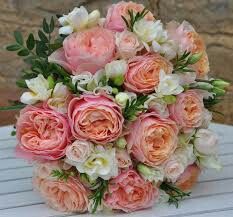 Decoración en salmón/naranja - 9