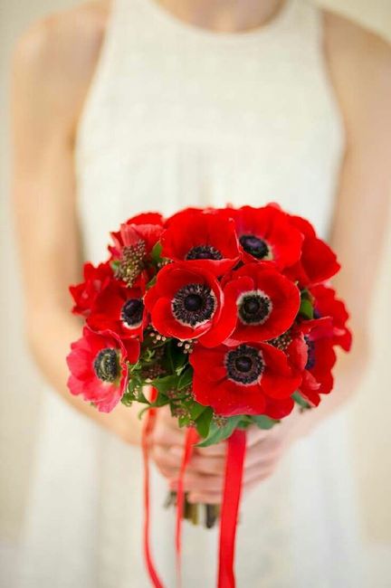 Como eligieron el color de su boda - 9