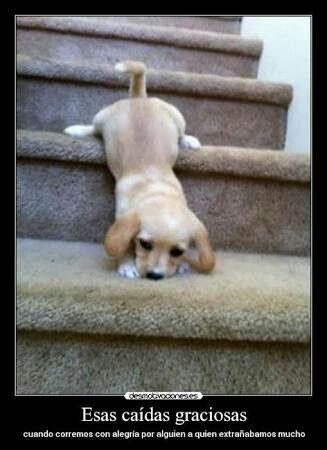 Presupuesto para la boda - 1