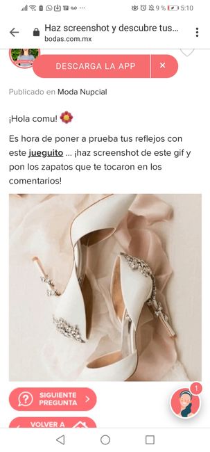 Haz screenshot y descubre tus zapatos - 1