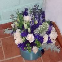 mi Ramo