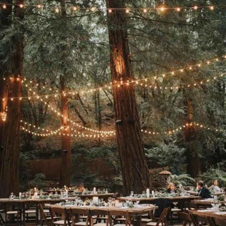 Boda en el bosque - 4