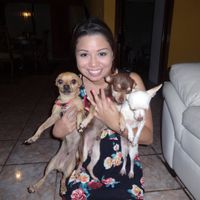 La novia y los cachorros