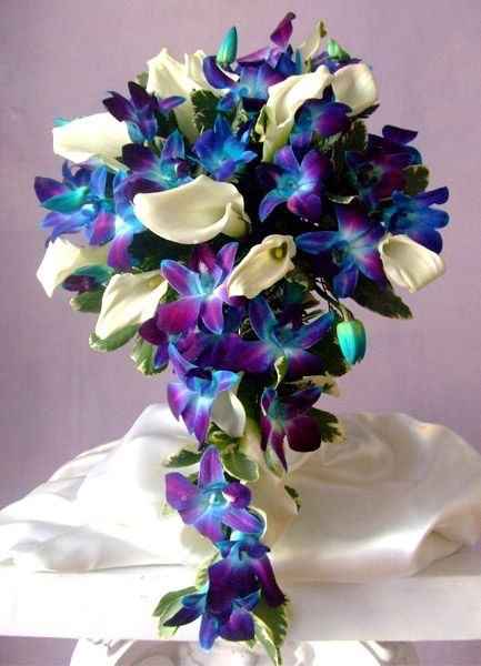 Ya elegimos colores!!! violeta, turquesa, plata, blanco - 2