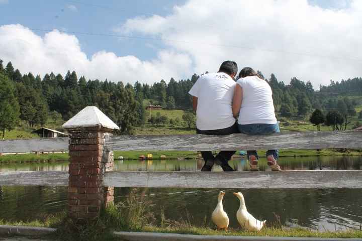 Los patos son reales!!!!