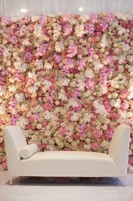 Photocall rosa - 19