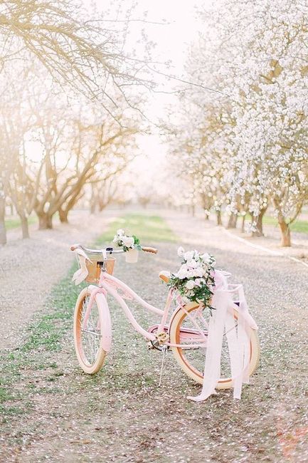 Transportes rosas para tu llegada! 💗 - 8