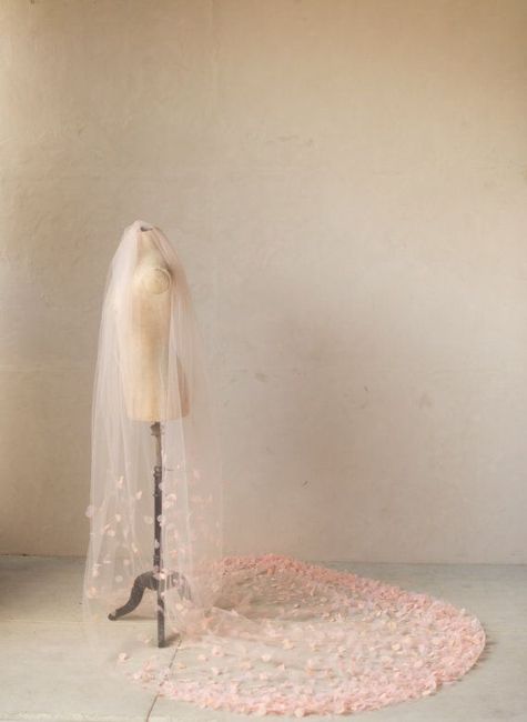 Velo de colores  😮😱 - 3