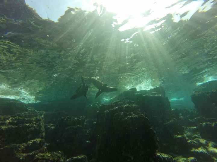 Isla Espíritu Santo