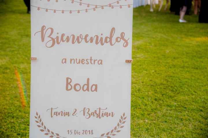 Colores de mi boda 💗 - 2