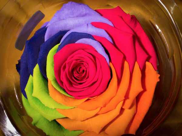  Buscando ando 😩 - 1