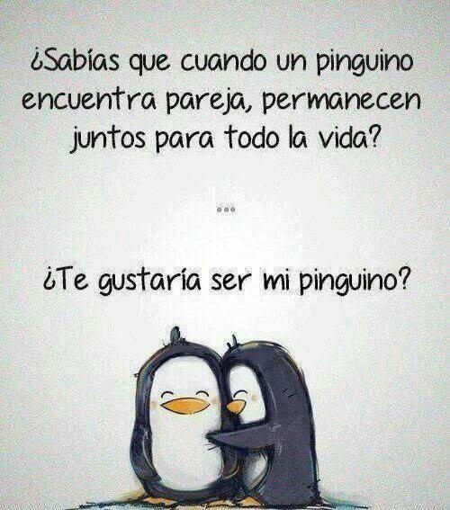 PINGUINOS