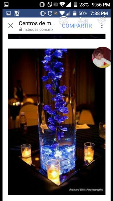 Combinación de colores en azul y blanco - 13