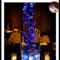 Combinación de colores en azul y blanco - 13