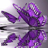 Violeta
