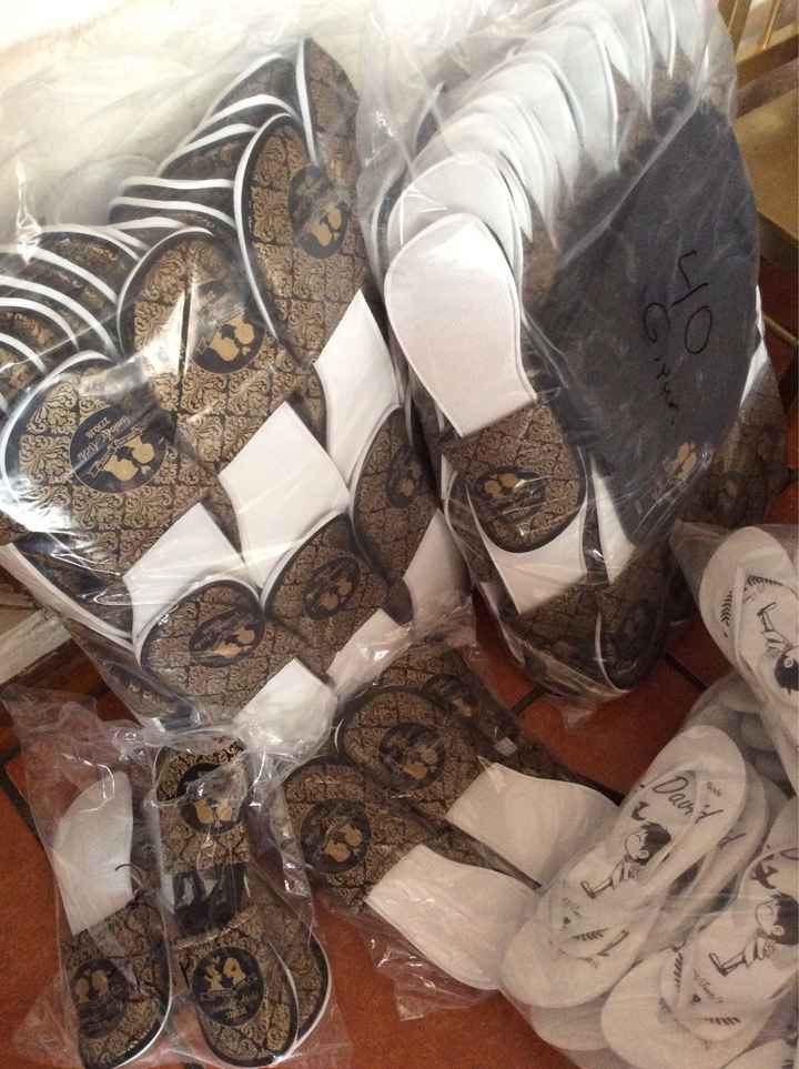 Mis Pantuflas Zamis - 2