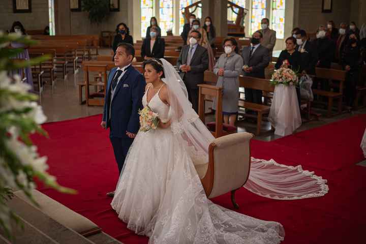 Muéstrenme su Velo - 3