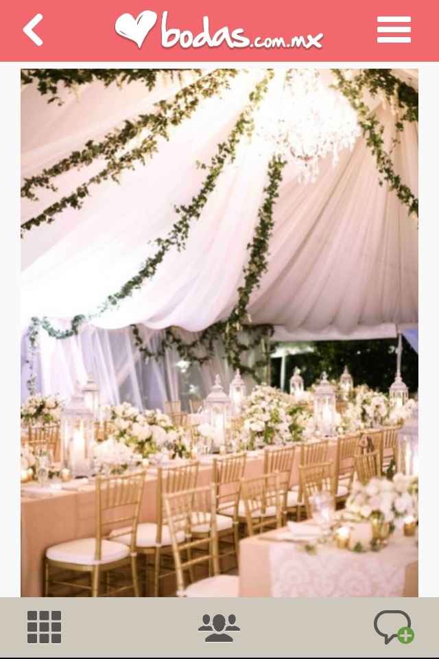 Telas y guías verdes