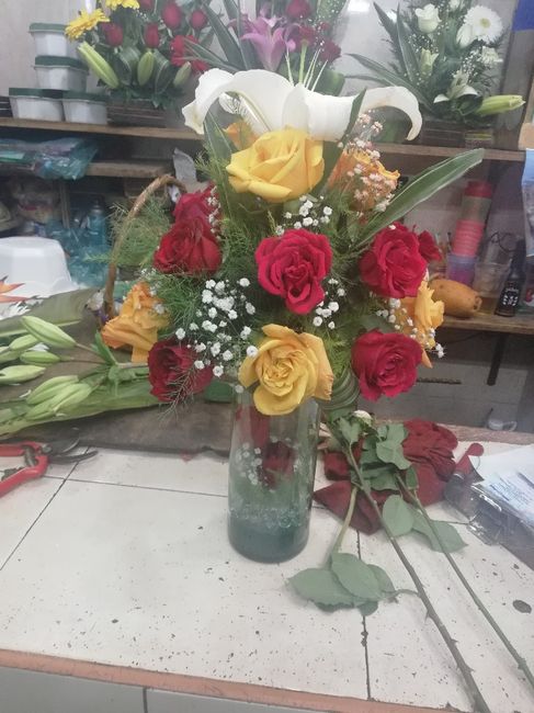 Avances a 1 día - 4