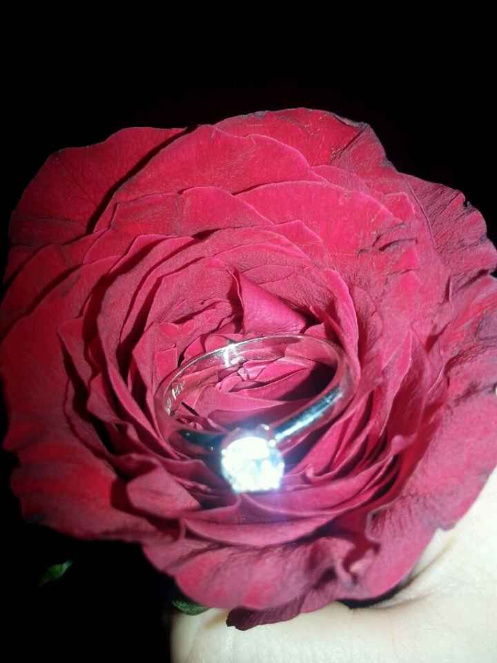 Novias nuevas!! - 1