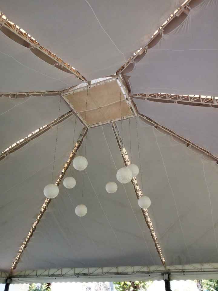 Carpa 
