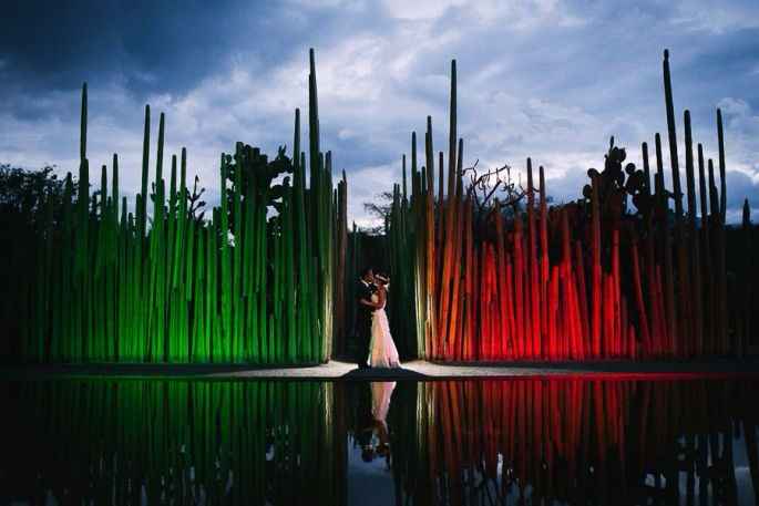 1. Jardín botánico 