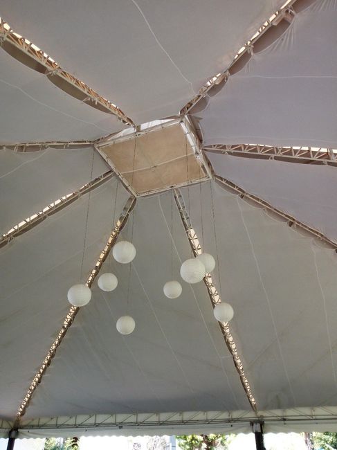 Carpa 