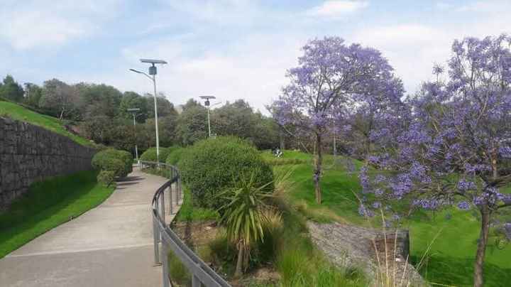 Crónica de mi Bridal Shower (largo....) - 1