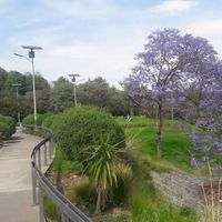 Crónica de mi Bridal Shower (largo....) - 1