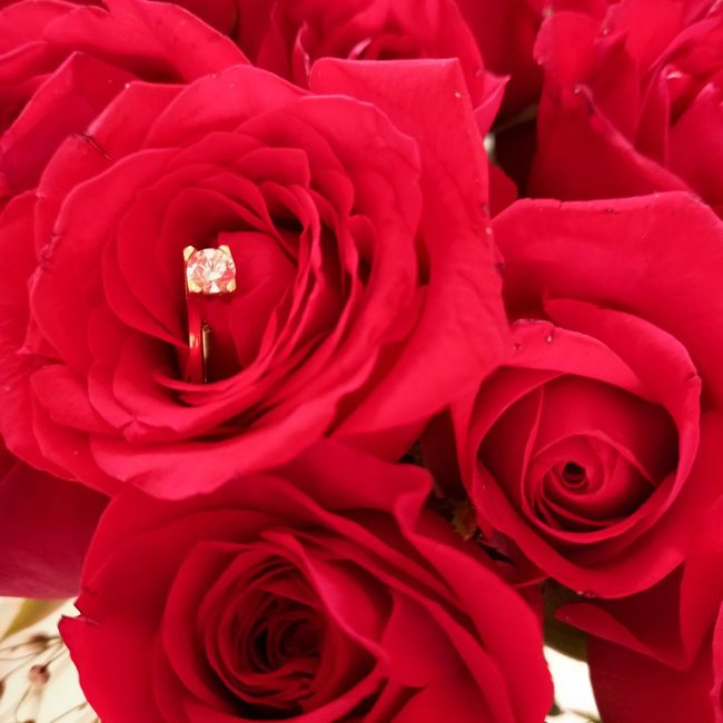 Mi anillo de compromiso Danya 1