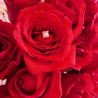 Mi anillo de compromiso - 1