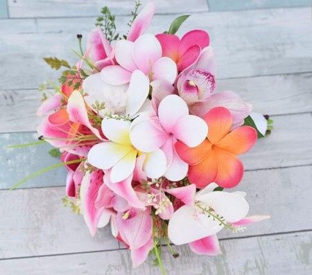 Mi estilo de admin: silvia - 3