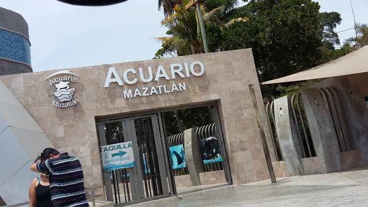LLegando al Acuario