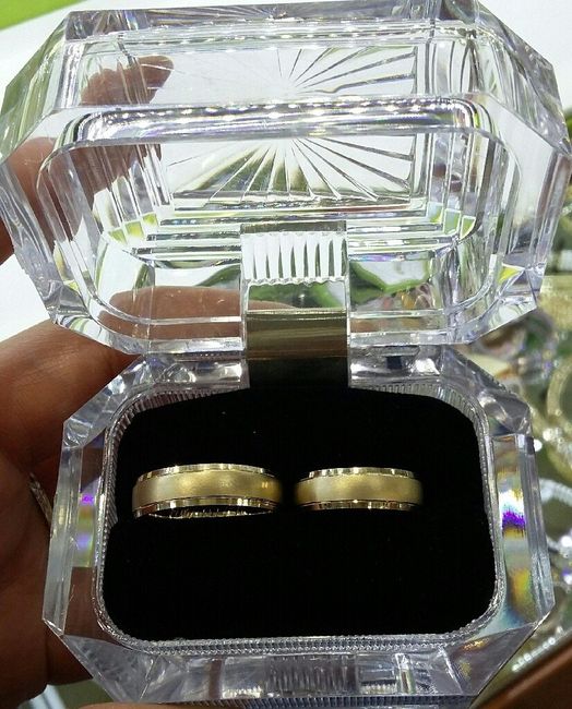 Al fin nuestros anillos - 2