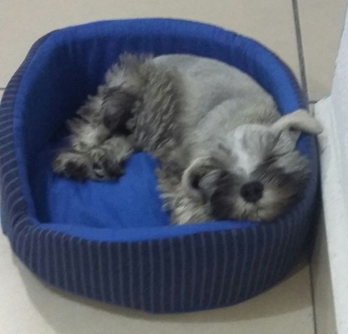 Dormilon:)
