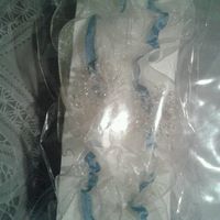 Algo nuevo, algo viejo, algo prestado y  azul - 1
