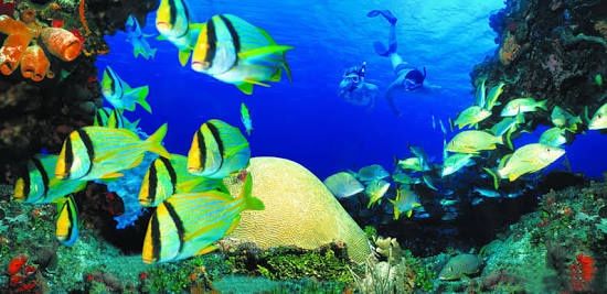 Luna de miel reservada!! - 2