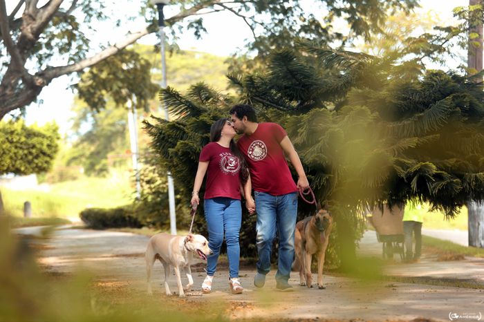 Save the date peludo 3