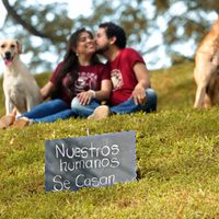 Save the date peludo - 3