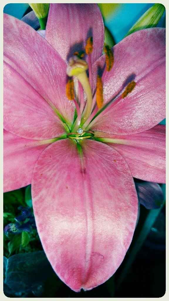 Mi pinterest 👰 - 3