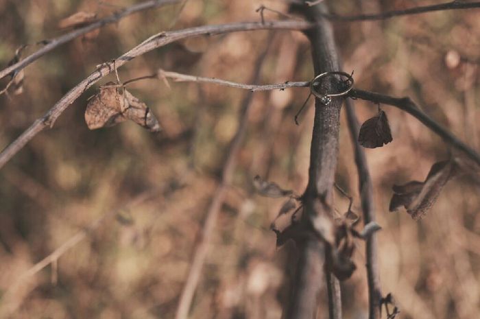 Nuestra save they date y avances.... - 13