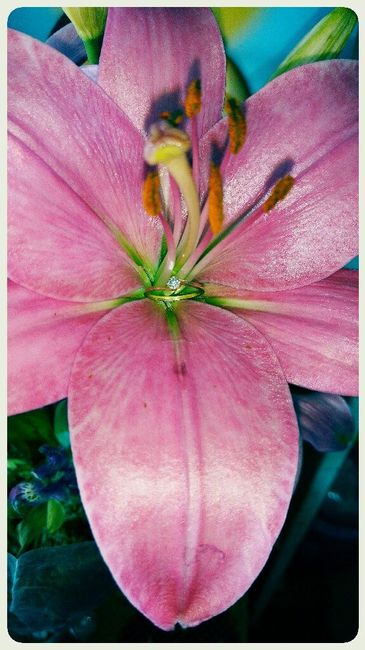 Mi pinterest 👰 - 3